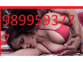 9899593777-call-girls-service-delhi-ncr-shot-2000-night-6000-small-0