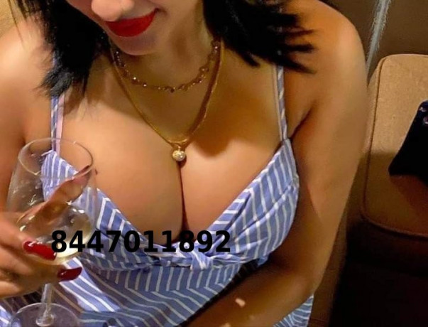 8447011892-shot-1500-night-5000-call-girls-in-pitampura-big-1