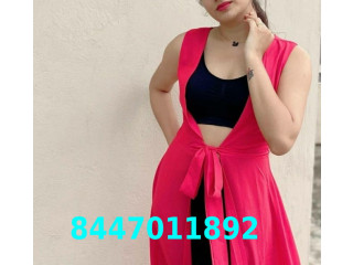 Ber Sarai call girls - Call Girls in NCR - Delhi Escorts 8447011892