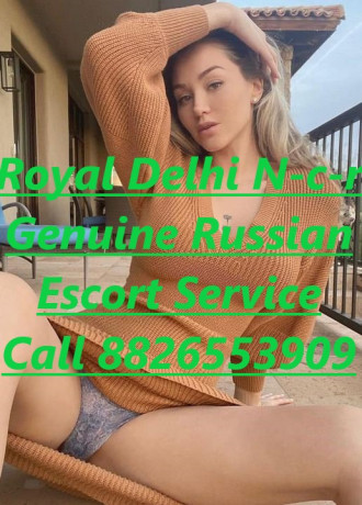 call-girls-in-dilshad-garden-8826553909-escort-service-in-delhi-n-c-r-big-0